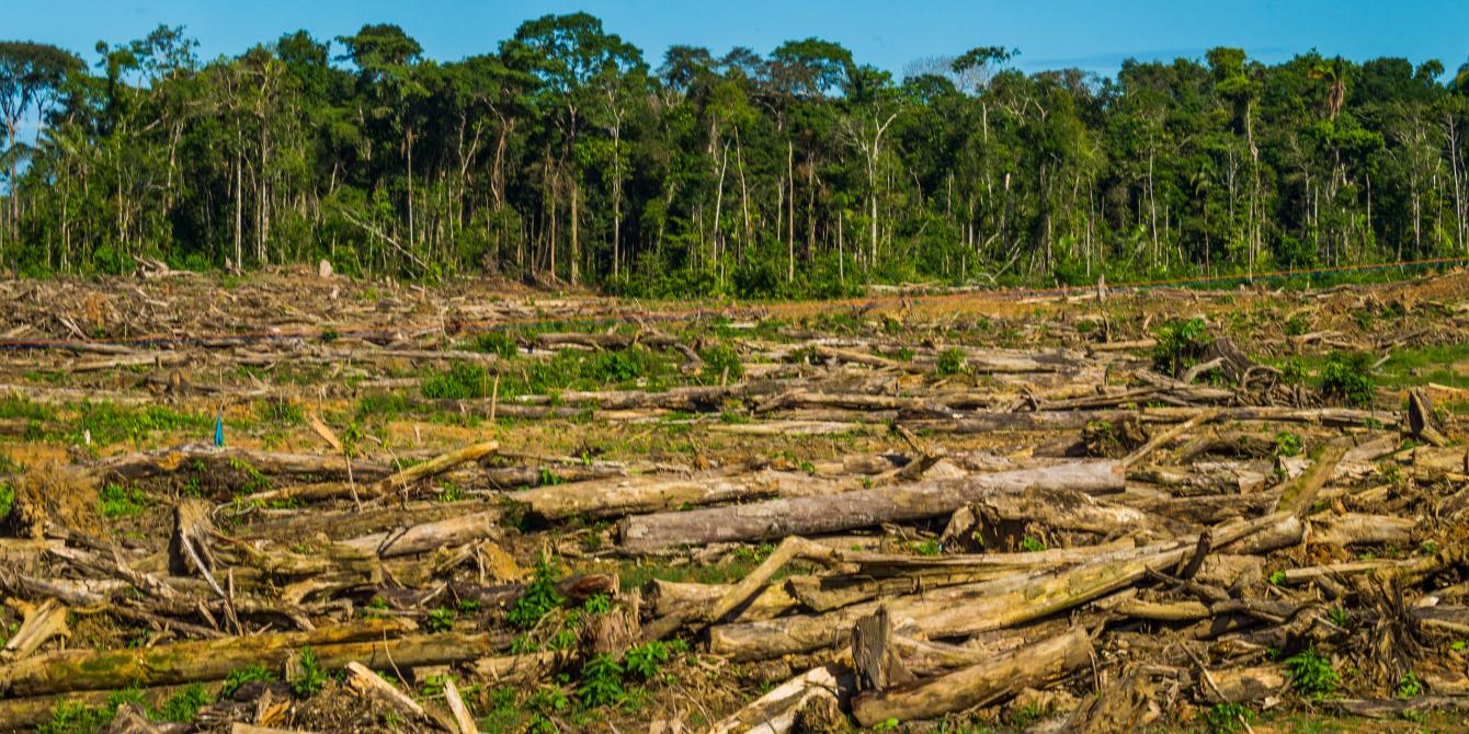 Amazonía arrasada El Grupo Melka y la deforestación en el Perú Oxfam en Perú Amazonía arrasada El Grupo Melka y la deforestación en el Perú Oxfam en Perú